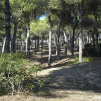 Foto de Puerto de Santa María