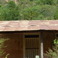 Foto de Colliguay