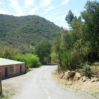 Foto de Colliguay