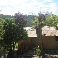 Foto de Colliguay