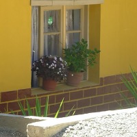 Foto de Colliguay