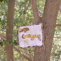 Foto de Colliguay