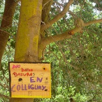 Foto de Colliguay