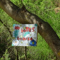 Foto de Colliguay