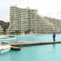Foto de Algarrobo