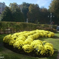 Foto de Oviedo