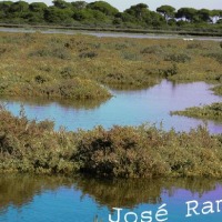 Foto de Puerto Real