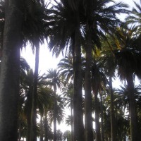 Foto de Rancagua