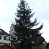 Foto de Molsheim