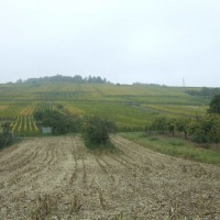 Foto de Dorlisheim