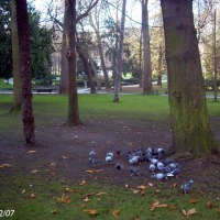Foto de Oviedo