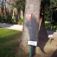 Foto de Oviedo