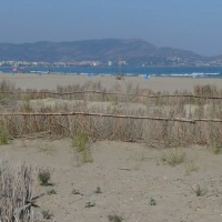 Foto de Castellón