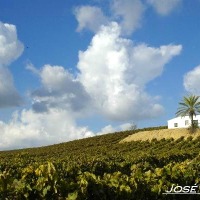 Foto de Jerez de la Frontera