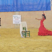 Foto de Jerez de la Frontera