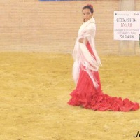 Foto de Jerez de la Frontera