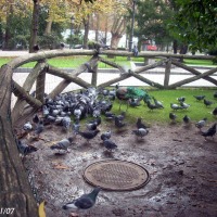 Foto de Oviedo