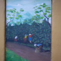 Foto de Palmares, Alajuela