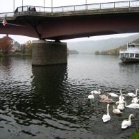 Foto de Bernkastel-Kues