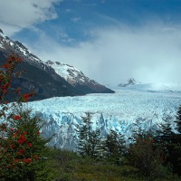 Foto de El Calafate