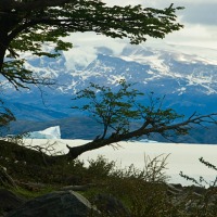 Foto de El Calafate