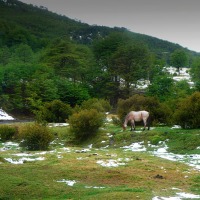 Foto de Ushuaia