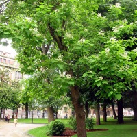 Foto de Oviedo