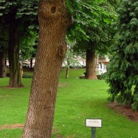Foto de Oviedo