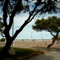 Foto de Puerto Madryn