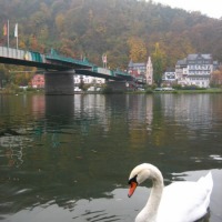 Foto de Traben-Trarbach