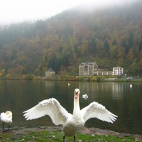 Foto de Traben-Trarbach
