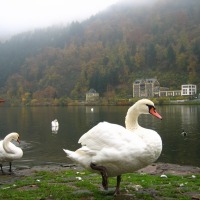 Foto de Traben-Trarbach
