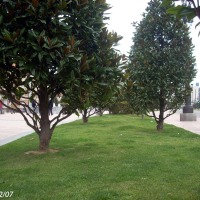 Foto de Oviedo