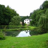 Foto de Müllerthal