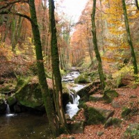 Foto de Müllerthal