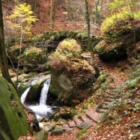 Foto de Müllerthal