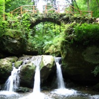 Foto de Müllerthal