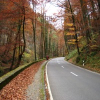 Foto de Müllerthal