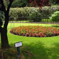 Foto de Oviedo