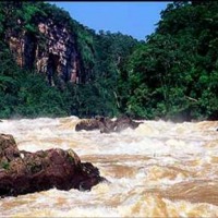 Foto de Caquetá