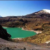 Foto de Parque Nacional los Nevados