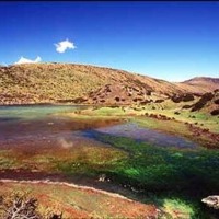Foto de Parque Nacional los Nevados