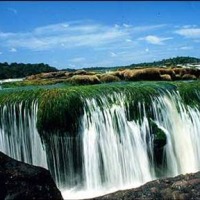Foto de Amazonas