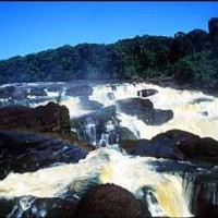 Foto de Amazonas