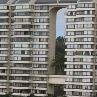 Foto de Algarrobo