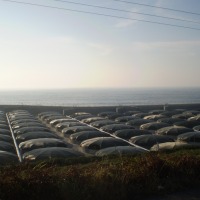 Foto de Camariñas