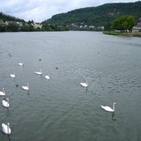 Foto de Wasserbillig
