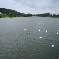 Foto de Wasserbillig