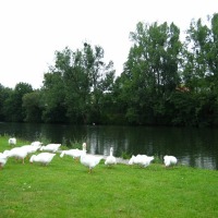 Foto de Wasserbillig