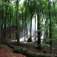 Foto de Remich